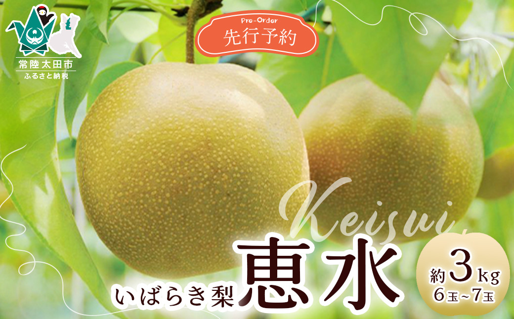 
            【先行予約 2025年】梨 恵水 約3kg 6玉～7玉 | 茨城県 常陸太田市 桧山果樹園 恵水 オリジナル 大きい みずみずしい 品種 梨 フルーツ 高級 産地直送 限定品 贈り物 新鮮 お取り寄せ デザート ギフト 風味豊か 大玉 香り 上品 希少価値 珍しい 地域 甘い 限定 果物 果樹
          