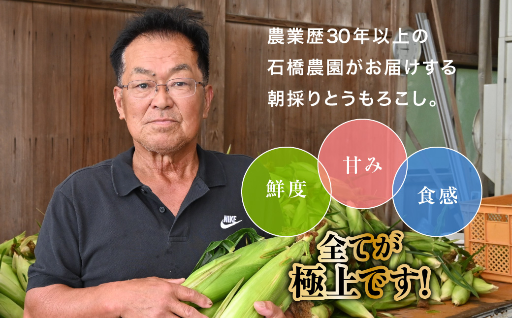 【先行予約】【6月下旬～8月中旬発送】 鮮度・甘み・食感 全てが極上! 農業歴30年以上の農家のこだわりが詰まった 朝採り とうもろこし 2L 13本 約5kg　SMCF001