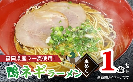 
										
										ラー麦使用の 鴨ネギ ラーメン（1人前） PC5006
									