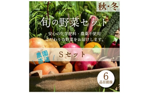 都内マルシェで人気のお野菜！ 秋冬 旬の野菜セットSサイズ(6品前後)  野菜 セット 詰め合わせ 詰合せ 食品 F21R-211