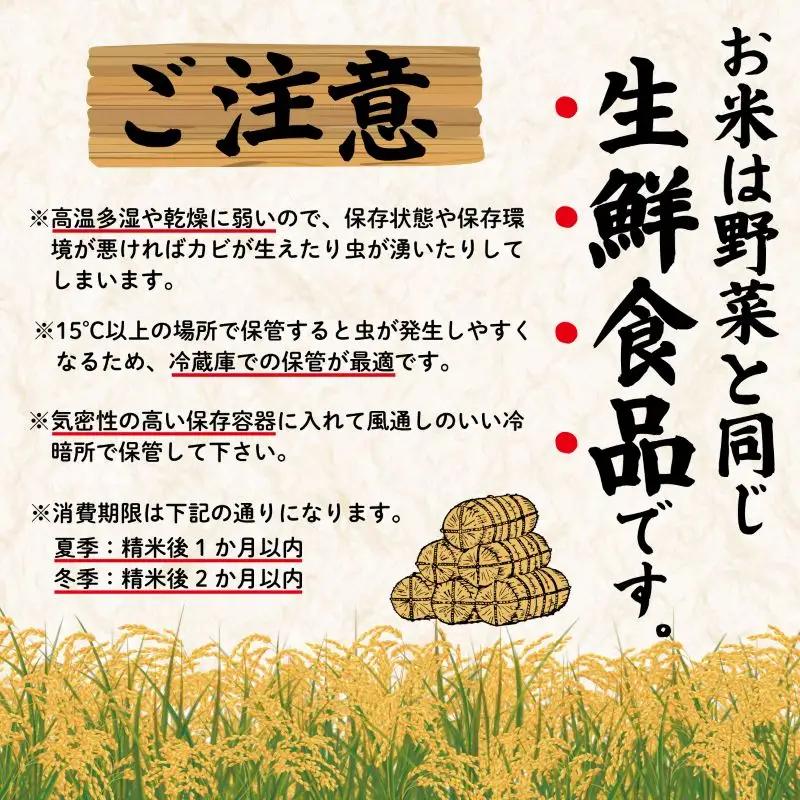 【食味鑑定士厳選】米 令和8年産 銀河のしずく 20kg 10月~発送開始 有限会社ファインリョーコク fine003g