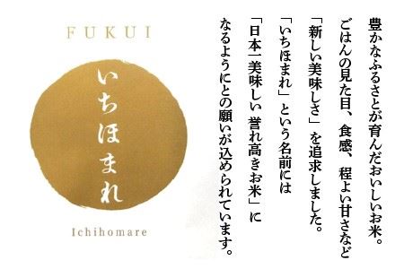 【試食PR用】福井県産 いちほまれ ＆ コシヒカリ 計10kg【A-3281】