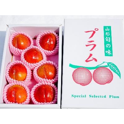 ふるさと納税 上山市 すもも(秋姫)1.2kg　ご家庭用　0012-2506 |  | 01