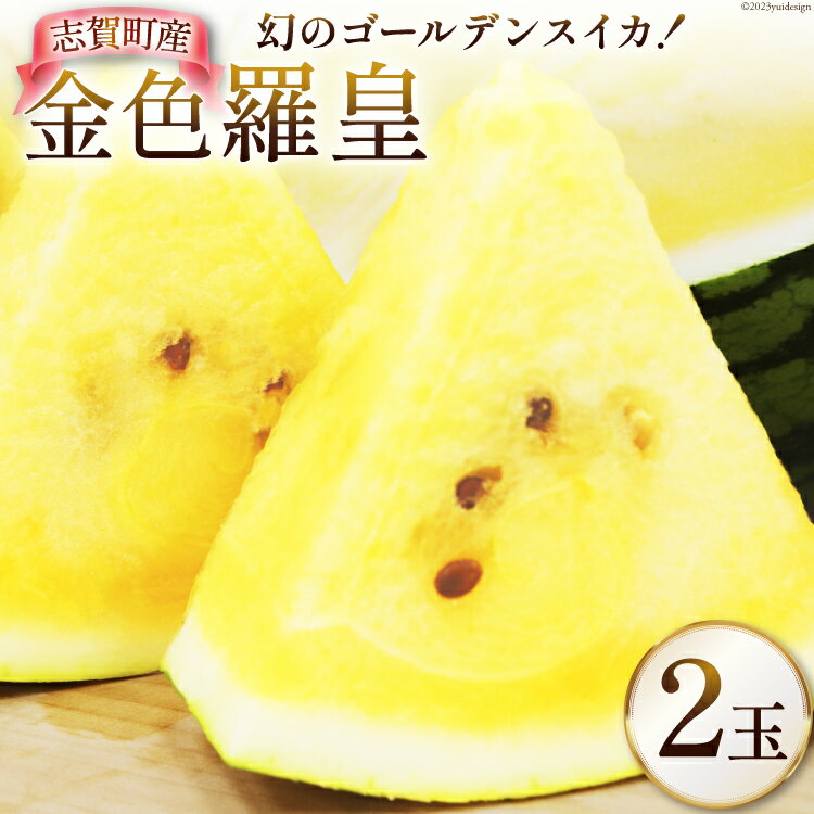 【ふるさと納税】 【期間限定】 金色 羅皇 (黄色) 【幻の ゴールデンスイカ】 2玉 [米吉農園 石川県 志賀町 BA4120] スイカ すいか 西瓜 黄色スイカ 果物 フルーツ くだもの 野菜