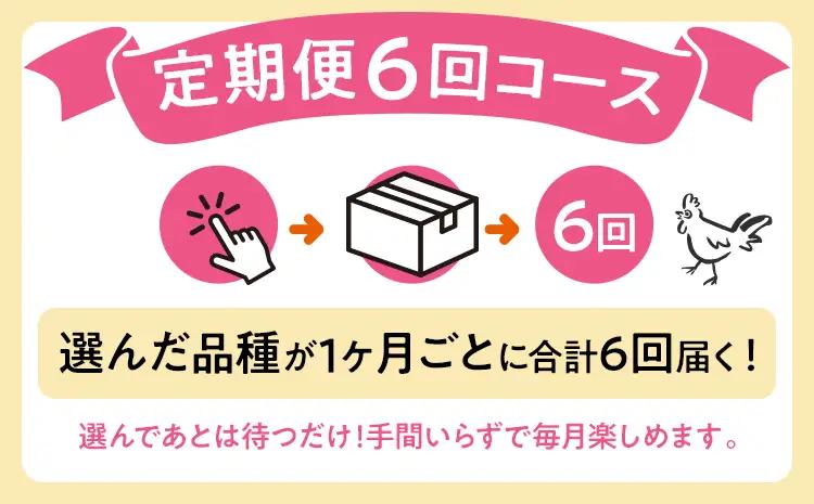 卵 定期便 6回 放牧養鶏卵 10個 「破損補償2個含」 6ヶ月間 若のレボリューション 卵 ※北海道・沖縄・離島は配送不可