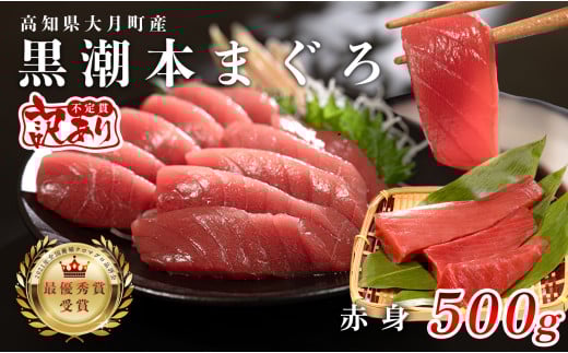 【訳あり】本マグロ 赤身500g 不定貫 養殖マグロ 高知県産 指定日発送可能
