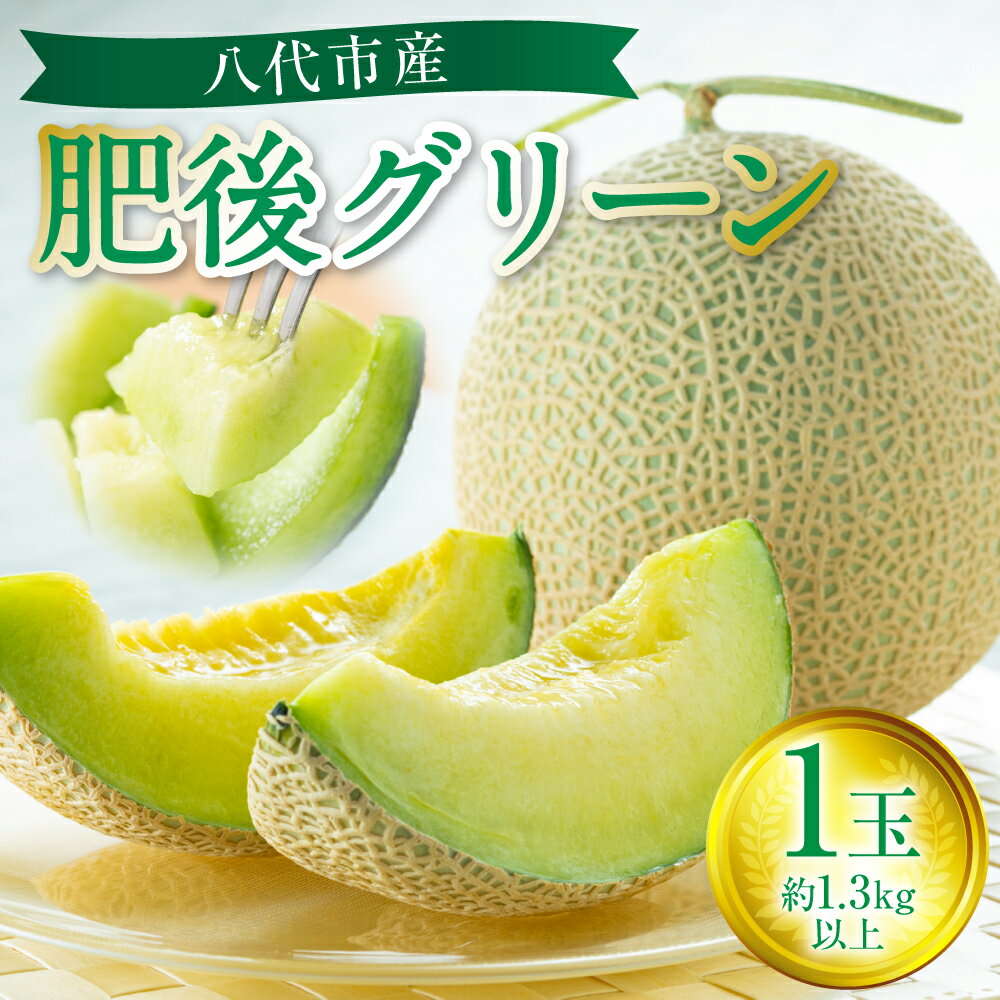 【ふるさと納税】【先行予約】 肥後グリーン メロン 1玉 （約1.3kg以上） 八代市産 熊本 果物 くだもの フルーツ 青肉メロン 青肉 送料無料 【2026年6月中旬より順次発送】