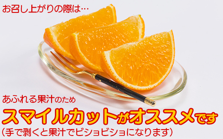 【訳あり・優品】今村農園のおひさまきらりん 約2kg＜107-018_7＞