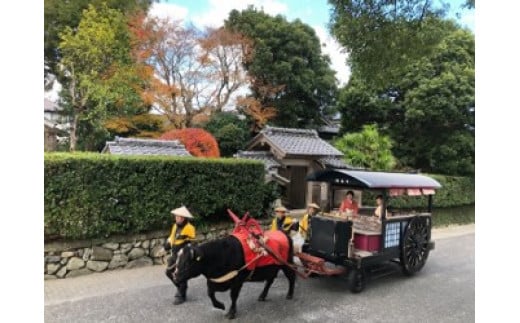 
特定非営利活動法人　いずみ観光牛車会（返礼品なし）
