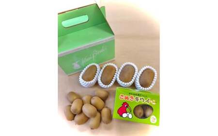 善通寺市産キウイ詰合せ（1）