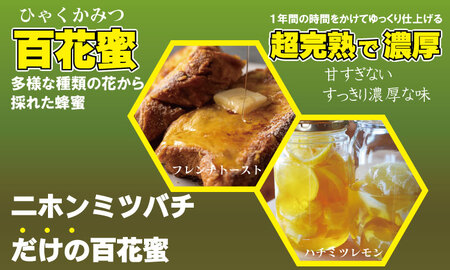はちみつ 日本蜜蜂 百花蜜 1,000g C210-014 はちみつ 国産