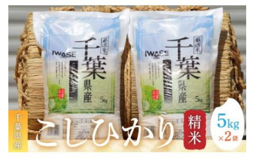 【新米】令和6年産 千葉県産コシヒカリ(精米)10kg[5kg×2袋] お米 10kg 千葉県産 大網白里市 コシヒカリ 米 精米 こめ 送料無料