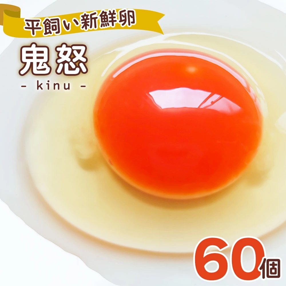 白身も美味い！平飼い新鮮卵「鬼怒」60個｜日光市産 平飼い卵 こだわり卵 たまご 玉子 生卵 鶏卵 [0281]