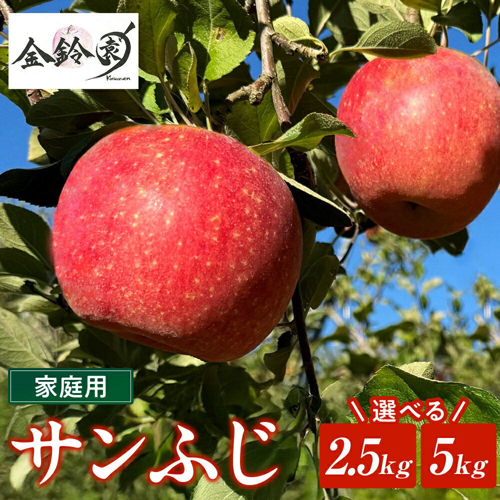 【ふるさと納税】【 北上市産 りんご 】サンふじ 【 家庭用 】 2.5kg〜5kg 林檎 リンゴ サンフジ 国産 東北 岩手 産地直送 送料無料 フルーツ 果物 果実 金鈴園 岩手県 北上市 訳あり 季節限定 秋 冬