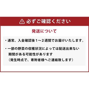 【ふるなび限定】シニア犬にも！北海道産食材のみ使用 無添加ペットフード（レトルトタイプ）| ペットフード_03641 FN-Limited-SP