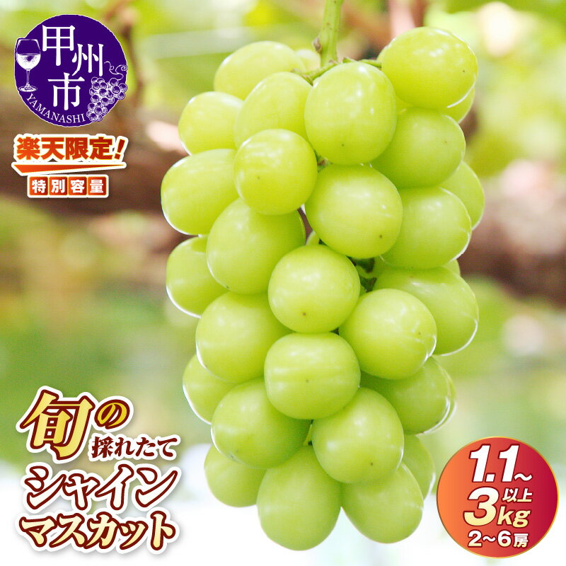 2023年先行予約 甲州市産 旬の採れたてシャインマスカット 1.2kg以上(2~3房)