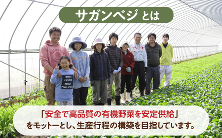 ＜植物性で育てたサガンベジブランド＞ビーガン米 玄米10kg 佐賀県/株式会社サガンベジ [41ANCH003]
