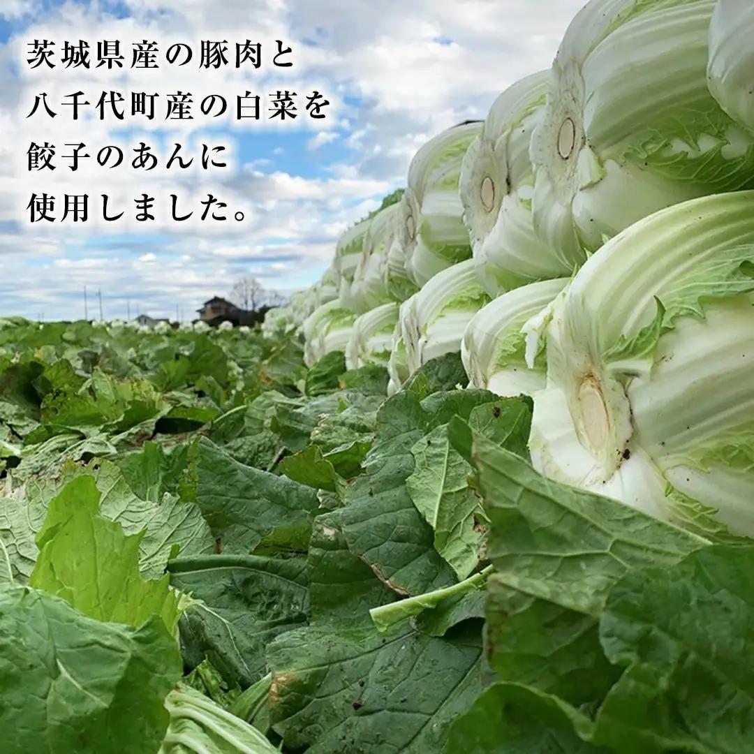 餃子 ジューシー白菜餃子50個 総重量1250g! 冷凍