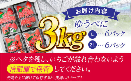 【先行予約】大粒いちご L~2L ゆうべに 3kg（12pc）【熊本ベリー】フルーツ 果物 くだもの いちご イチゴ 苺 ゆうべに 大粒いちご 国産いちご 熊本県産いちご 九州産いちご ゆうべにいちご
