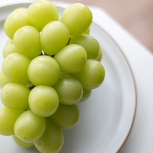 先行予約 シャインマスカット 約1.2kg (1房 約300g×4パック) 【2026年7月下旬から8月中旬発送予定】