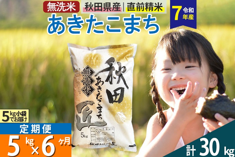 【無洗米】＜令和7年産＞《定期便6ヶ月》秋田県産 あきたこまち 匠 5kg (5kg×1袋) ×6回 5キロ お米 |02_snk-030306s