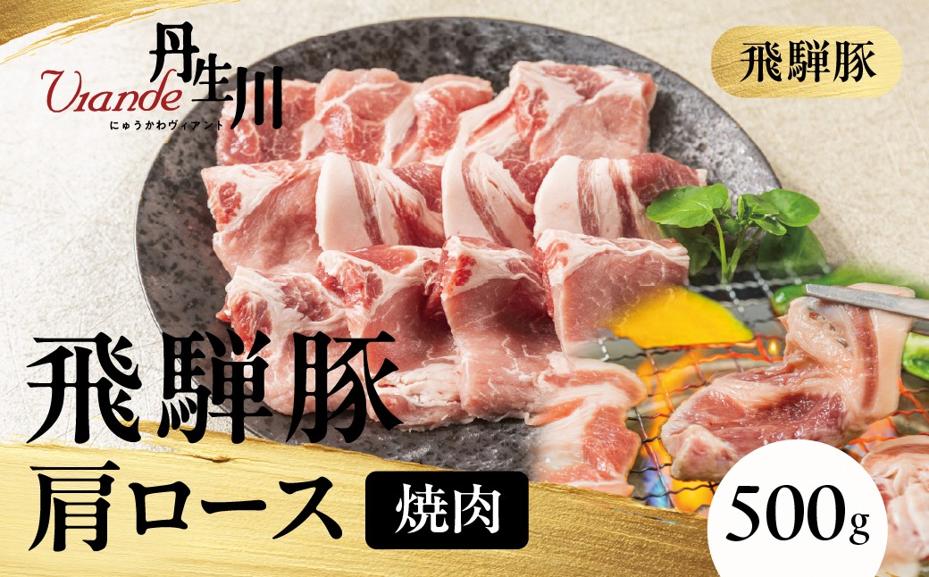 
                  飛騨豚 肩ロース 焼肉 500ｇ |  豚肉 焼肉 ブランド豚 ロース バーベキュー アウトドア 丹生川精肉 JJ028
                