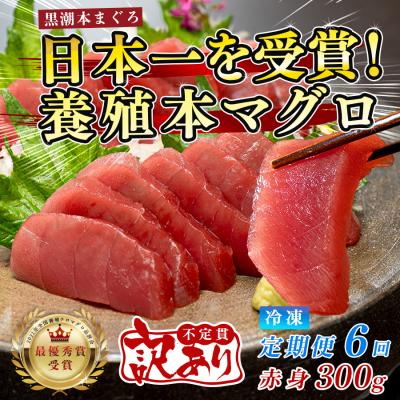 ふるさと納税 大月町 訳あり まぐろ マグロ 本鮪 黒潮本まぐろ 赤身 定期便 6回 300g × 6回 刺身