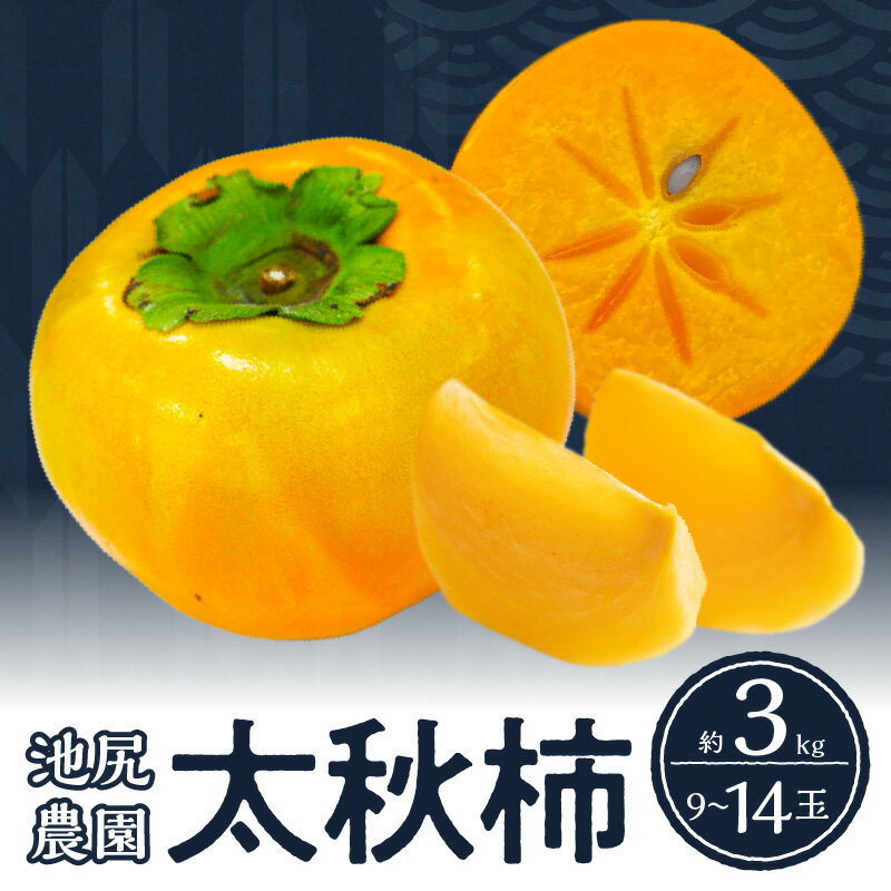 【ふるさと納税】【10月発送】柿 甘柿 太秋柿 9玉 ～ 14玉 約 3kg 種が少ない 池尻農園 シャキシャキとした食感 さっぱり 多汁 高い糖度 国産 フルーツ 果物 福岡県 久留米市 お取り寄せ お取り寄せフルーツ 食品 食べ物 送料無料
