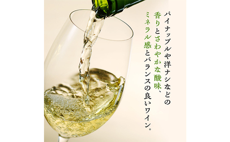 ワイン 飲み比べセット 750ml 2本セット 赤ワイン 白ワイン 赤白セット ギフト シャトーメルシャン椀子ワイナリー シャトーメルシャン ワイン お酒 酒 アルコール 宅飲み お祝い 記念日 飲み