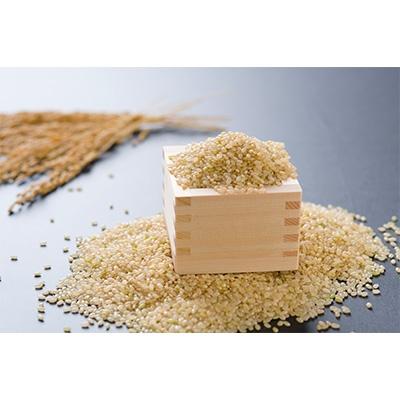 ふるさと納税 留萌市 【令和7年産】玄米2種セット　20kg(ななつぼし10kg・ゆめぴりか10kg)【北海道留萌産】 |  | 01