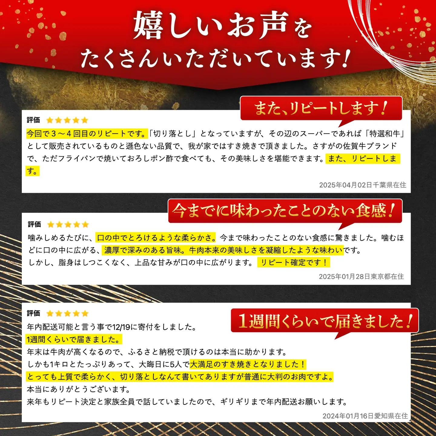 【定期便】 牛肉切り落とし 佐賀牛 総計12.0kg NAB058 牛肉切り落とし 全12回