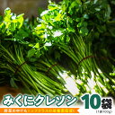 【ふるさと納税】【 先行予約 】 みくにクレソン100g×10袋 美容 健康 野菜 スーパーフード クレソン