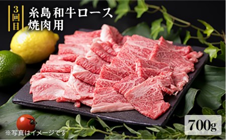 美味しさ満載！贅沢お肉の定期便全5回（月1回） 4人家族用 (福岡 糸島産 牛肉 豚肉 鶏肉 ステーキ しゃぶしゃぶ すき焼き ヒレ シャトーブリアン ロース)《糸島》【糸島ミートデリ工房】[ACA0