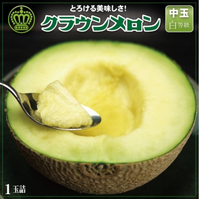 【一年中食べられる!】クラウンメロン (白等級) 中玉 1玉 静岡県産 高級 マスクメロン【配送不可地域：離島・北海道・沖縄県】
