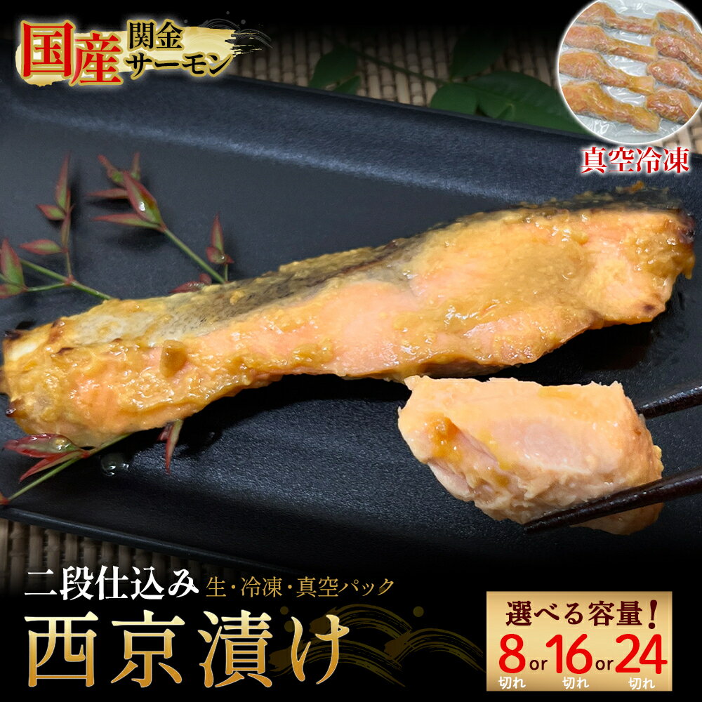 【ふるさと納税】【真空冷凍】 関金サーモン 切り身 二段仕込み西京漬け 480g~1,440g（8切れ~24切れ） マス トラウトサーモン 鮭 さけ シャケ 国産鮭 西京漬け鮭 鮭切身 サーモン 国産サーモン サーモン切身 養殖サーモン 真空冷凍 真空パック