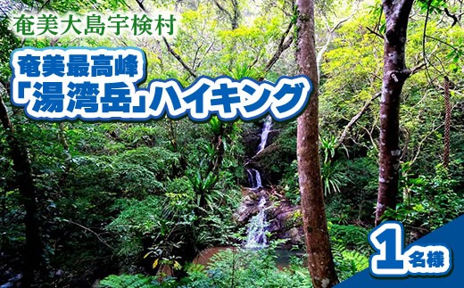 奄美最高峰「湯湾岳」ハイキング １名様 奄美大島 宇検村 鹿児島県 旅行 自然 冒険 完全プライベート