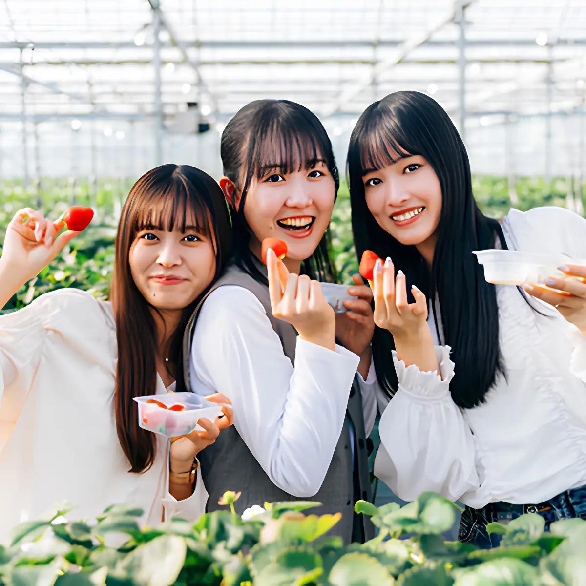 あまりん プレミアムいちご 約500g 先行予約 | あまりん