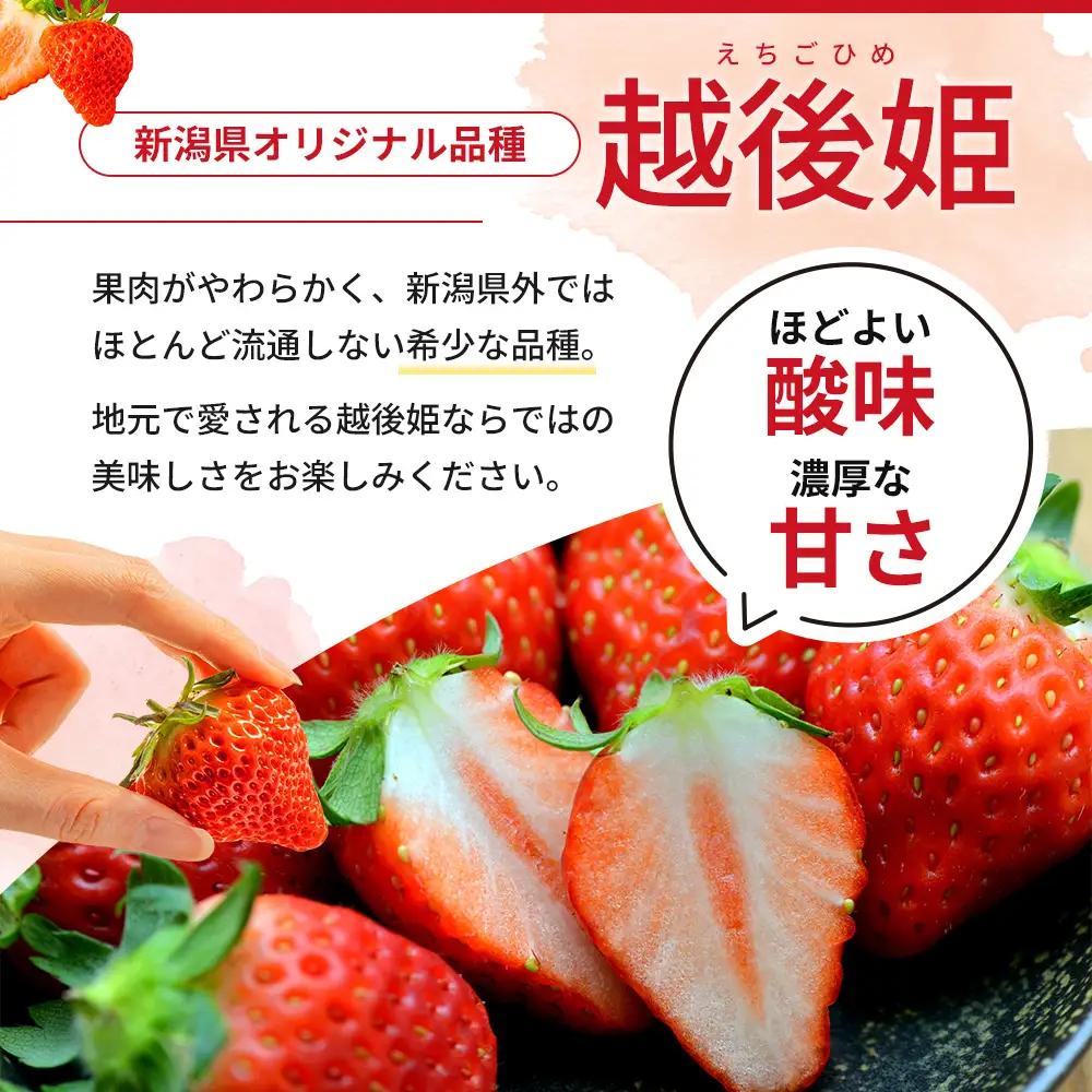 越後姫ジャム10瓶 いちご イチゴ 苺 加工品 お取り寄せ 新潟