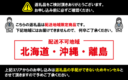 アムスメロン 2玉 大サイズ (1玉約1.75〜2.0kg未満) アムスメロン メロン 千葉県 銚子市 弥兵衛