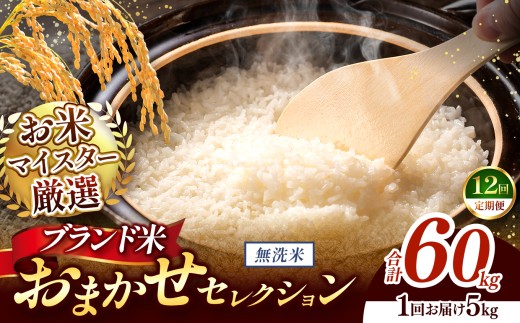 【 令和7年産 】おまかせ セレクション 【定期便12回】熊本県産 無洗米  ＜ひのひかり / 森のくまさん / くまさんの輝き ＞ 5kg  | 単一銘柄 米 単一米 お米 こめ 小分け 人気 コメ お米 5kg 10kg 15kg 20kg 25kg 30kg 定期便 3回 6回 12回 ブランド米 菊池川流域 家庭用 送料無料 熊本 くまもと 熊本県 和水 和水町 人気 ごはん