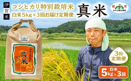 お米 伊賀米コシヒカリ 令和8年産新米（12月末まで） 特別栽培米「真米」白米5kg×3回お届け定期便【ymnk-tkb0001】