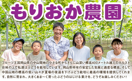 【先行予約】ぶどう ご家庭用 ピオーネ 約2kg (3房~5房) もりおか農園《9月上旬-10月上旬頃出荷》岡山県 浅口市 送料無料 ぶどう フルーツ 果物 くだもの デザート おやつ【配送不可地域あ