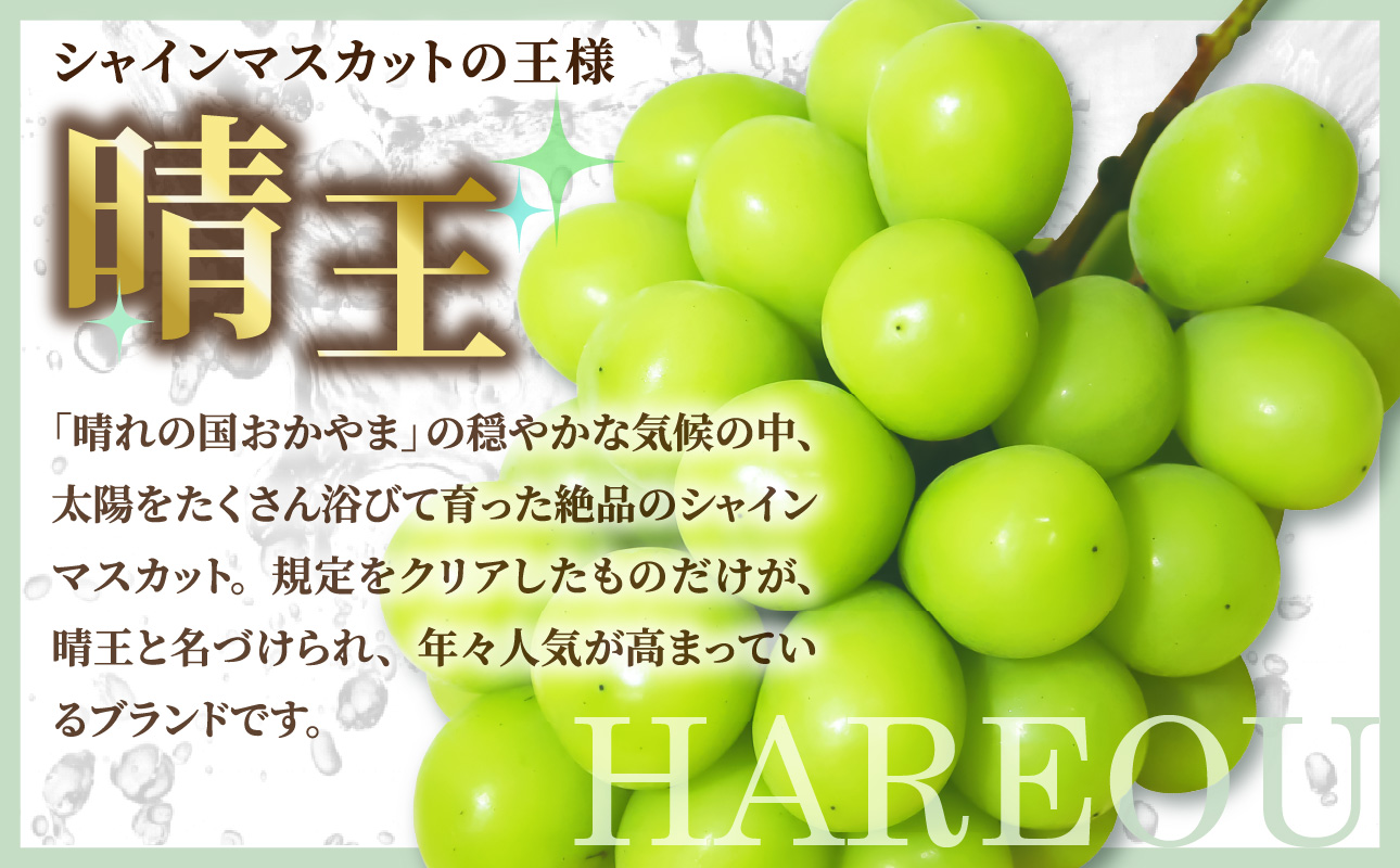 【令和７年発送分】岡山県産 シャインマスカット晴王【秀品】２kg（令和7年9月から11月発送）【 岡山県産 シャインマスカット 秀品 晴王 晴れの国おかやま 】
