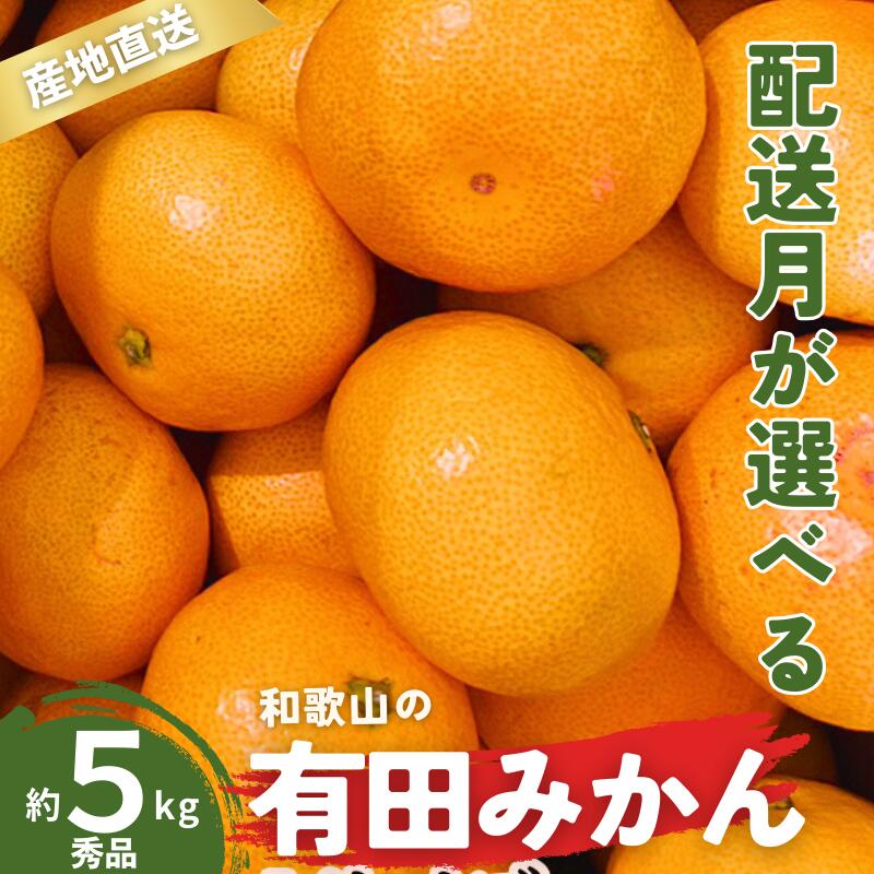【ふるさと納税】 ＼配送月が選べる！／ 秀品 有田みかん 和歌山県産 S〜Lサイズ 大きさお任せ 5kg / みかん フルーツ 果物 くだもの 有田みかん 蜜柑 柑橘