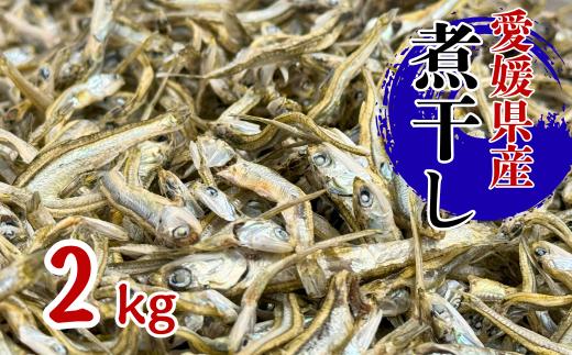 伊予煮干 いりこ 2kg 【10月以降発送】 伊予灘産 瀬戸内海 出汁 料理 おやつ カルシウム 健康 サクサク食感 海の幸 海産物 乾物 魚介類 おつまみ 保存食 特産品 愛媛 伊予市｜B422