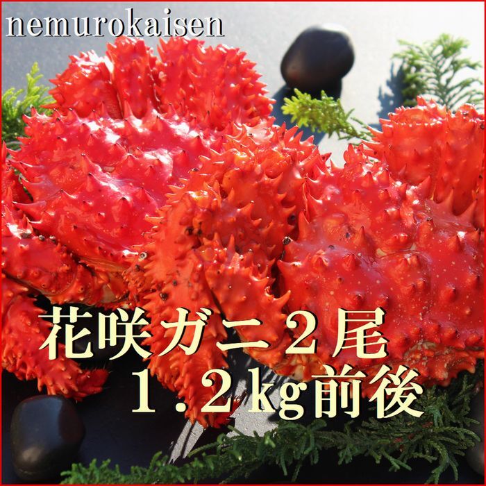 【ふるさと納税】[北海道根室産]花咲ガニ2尾 計1.2kg前後 B-57031