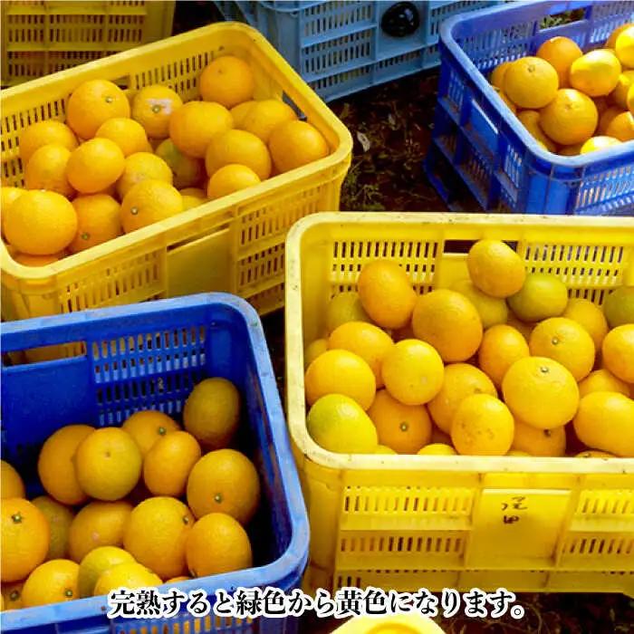 【数量限定】スィートスプリング 約9kg[OAF007] ミカン