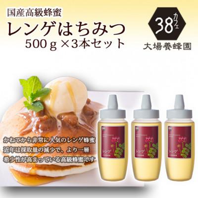 ふるさと納税 富山市 富山県産レンゲ蜂蜜500g　3本セット