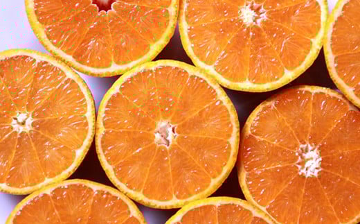 中身はとってもジューシー。福元盆地の畑で栽培されたたんかんは甘みと酸味も良く評判です。