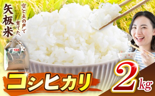 こしひかり 2kg 空と土の声を聴いて育てた「矢板米」 | お米 米 栃木県 矢板市